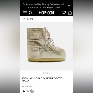 Moon boots paid retail. Want them?